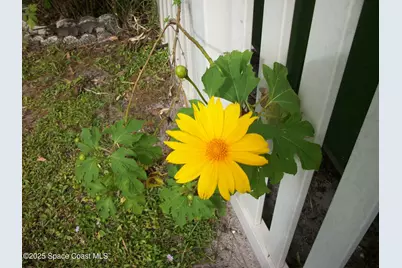 1972 Mango Street NE, Palm Bay, FL 32905 - Photo 29