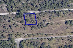 1032 Echinata St SW, Palm Bay, FL 32908 - Photo 1