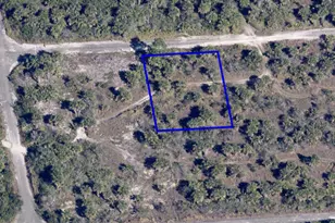 1092 Echinata St SW, Palm Bay, FL 32908 - Photo 1