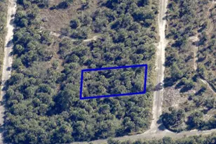 1093 Echinata St SW, Palm Bay, FL 32908 - Photo 1