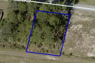 778 Ontario St NW, Palm Bay, FL 32907 - Photo 1