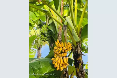 1800 Kole Place #104, Melbourne, FL 32935 - Photo 33