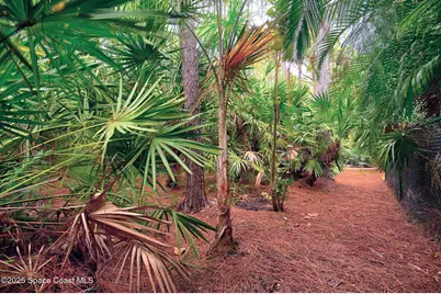 4580 Hunters Run Circle, Grant-Valkaria, FL 32949 - Photo 17