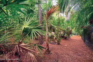 4580 Hunters Run Cir, Grant-Valkaria, FL 32949 - Photo 17