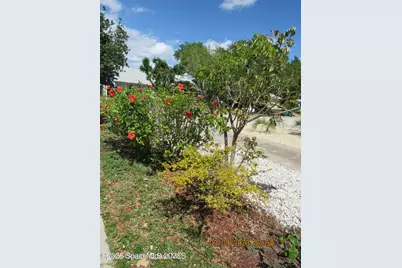 113 Harrison Avenue, Cape Canaveral, FL 32920 - Photo 27