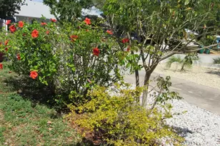 113 Harrison Ave, Cape Canaveral, FL 32920 - Photo 27