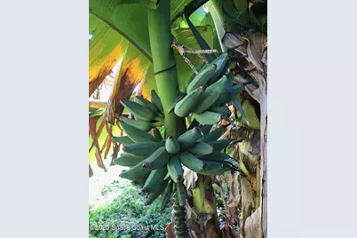 332 Nikomas Way, Melbourne Beach, FL 32951 - Photo 59