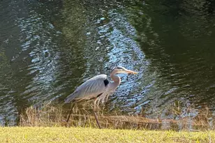 466 Carmel Dr, Melbourne, FL 32940 - Photo 45