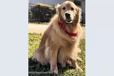 19 Lagoon Way, Titusville, FL 32780 - Photo 33