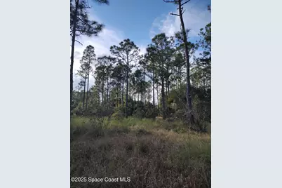 0 Magnolia Road, Grant-Valkaria, FL 32950 - Photo 5