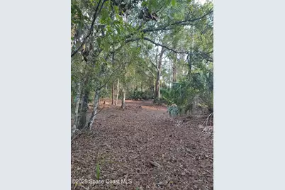 0 Magnolia Road, Grant-Valkaria, FL 32950 - Photo 3