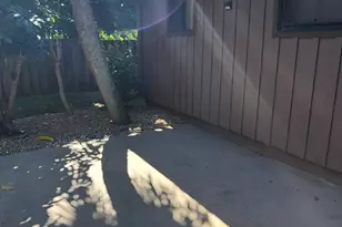 1580 S Atlantic Ave, Cocoa Beach, FL 32931 - Photo 19