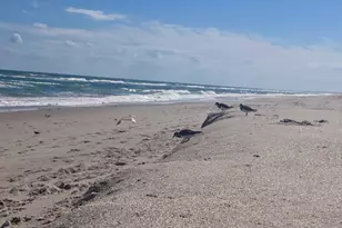 115 Aquarina Blvd, Melbourne Beach, FL 32951 - Photo 55