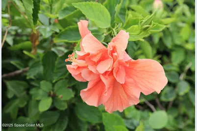 115 Aquarina Boulevard, Melbourne Beach, FL 32951 - Photo 41