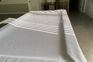 1919 Sago Palm St NE, Palm Bay, FL 32905 - Photo 45