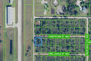 764 American St NW, Lake Placid, FL 33852 - Photo 1