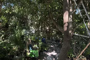 14 W Alma Dr, Melbourne, FL 32935 - Photo 17