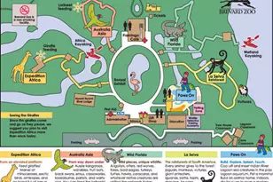 6421 Borasco Dr, Melbourne, FL 32940 - Photo 99