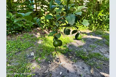 111 Seagrape Road, Melbourne Beach, FL 32951 - Photo 13