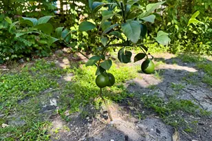 111 Seagrape Rd, Melbourne Beach, FL 32951 - Photo 13