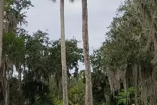 865 Pine Island Rd, Merritt Island, FL 32953 - Photo 47