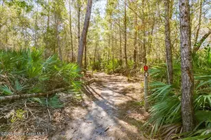 1305 Wayside Ct NE, Palm Bay, FL 32905 - Photo 31