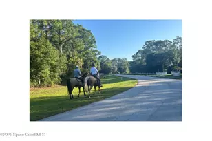 5585 Willoughby Dr, Melbourne, FL 32934 - Photo 75