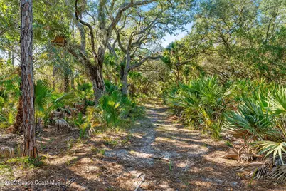 5585 Willoughby Drive, Melbourne, FL 32934 - Photo 65