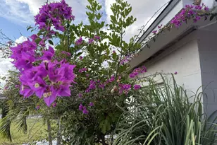 472 Sharon Dr, Melbourne, FL 32935 - Photo 21