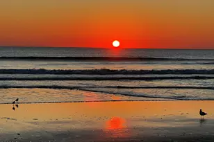 2021 S Orlando Ave, Cocoa Beach, FL 32931 - Photo 43