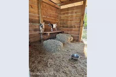 2625 Washington Street, Melbourne, FL 32904 - Photo 51