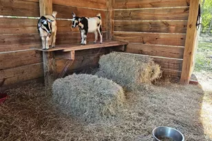 2625 Washington St, Melbourne, FL 32904 - Photo 51