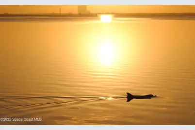 1690 Elizabeth Avenue, Titusville, FL 32780 - Photo 25