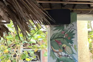 53 Vip Island Island, Grant-Valkaria, FL 32949 - Photo 33