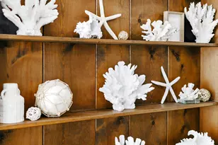 491 Seacrest Ave, Merritt Island, FL 32952 - Photo 5