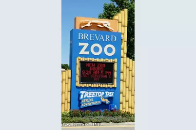 1677 Mineral Loop Drive NW, Palm Bay, FL 32907 - Photo 33