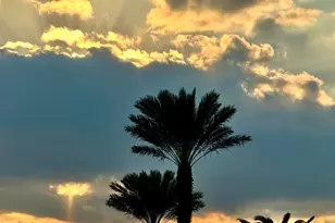 665 Remington Green Dr SE, Palm Bay, FL 32909 - Photo 47