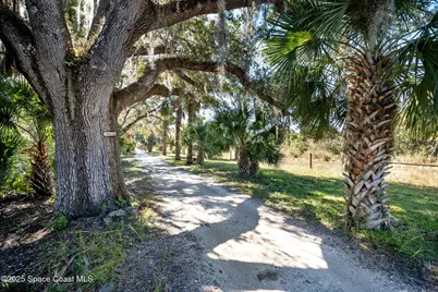 161 Harmony Lane, Titusville, FL 32780 - Photo 49