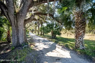 161 Harmony Ln, Titusville, FL 32780 - Photo 49