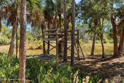 5849 Judy Kay Road, Grant-Valkaria, FL 32949 - Photo 57