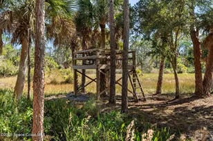 5849 Judy Kay Rd, Grant-Valkaria, FL 32949 - Photo 57