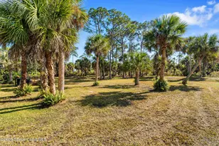 5849 Judy Kay Rd, Grant-Valkaria, FL 32949 - Photo 51