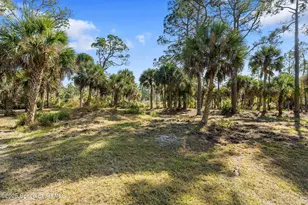 5849 Judy Kay Rd, Grant-Valkaria, FL 32949 - Photo 55