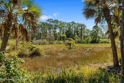 5849 Judy Kay Road, Grant-Valkaria, FL 32949 - Photo 59