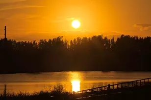 290 Sorrento Dr, Cocoa, FL 32922 - Photo 31