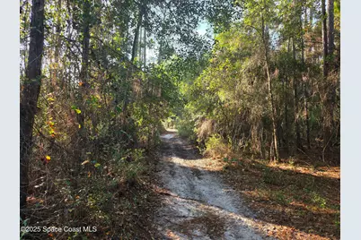 0000 Wood Duck Drive, Mims, FL 32754 - Photo 13