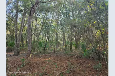 0000 Wood Duck Drive, Mims, FL 32754 - Photo 31