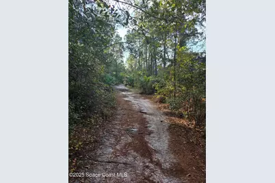 0000 Wood Duck Drive, Mims, FL 32754 - Photo 5