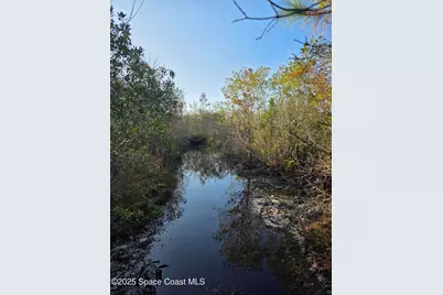 0000 Wood Duck Drive, Mims, FL 32754 - Photo 25