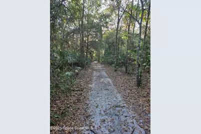 0000 Wood Duck Drive, Mims, FL 32754 - Photo 15